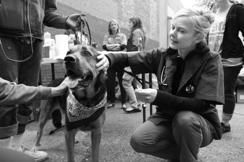 Person squatting down to pet a dog