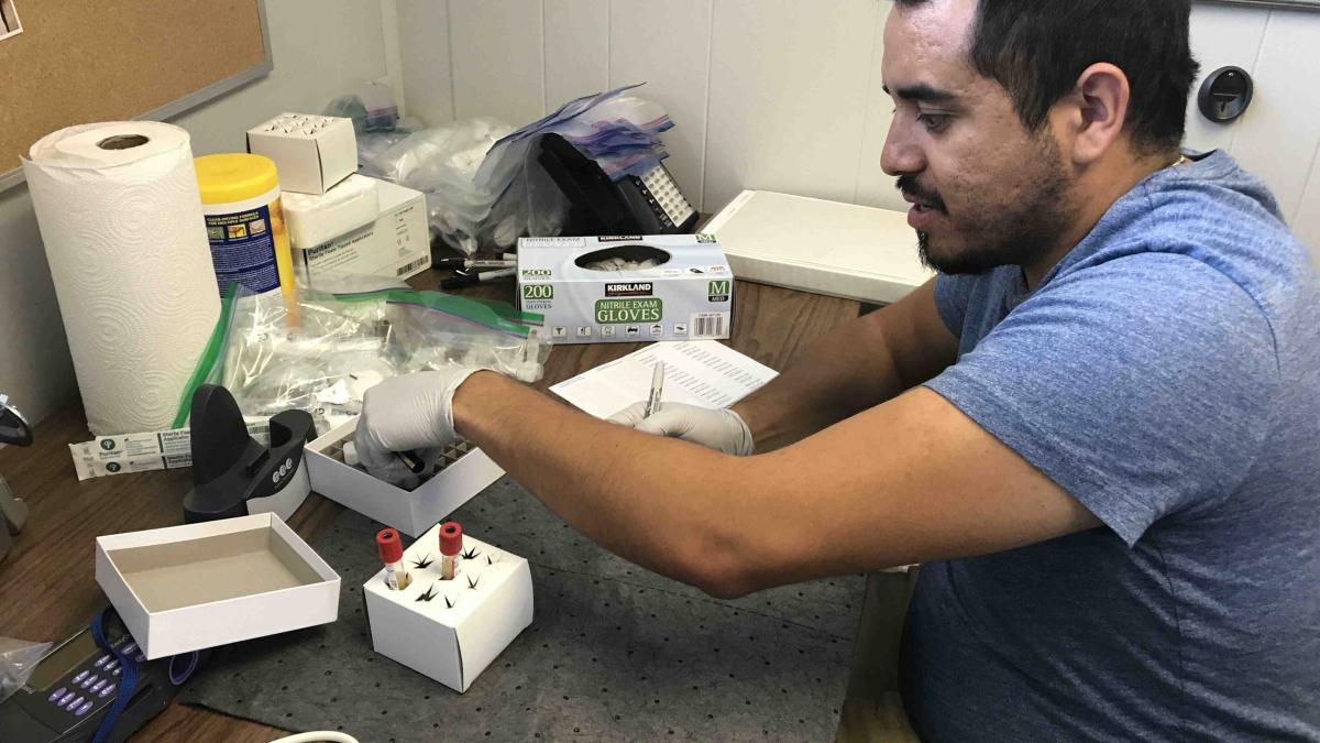 Person sitting at desk processing test tubes
